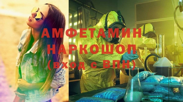 гидра Алексеевка