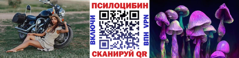 Псилоцибиновые грибы Cubensis нарко площадка состав Ипатово цена наркотик